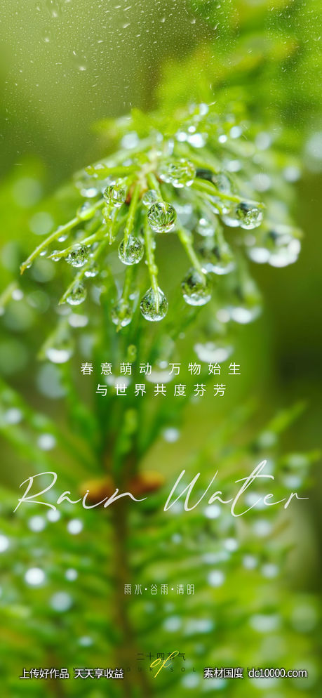 雨水节气海报 - 源文件