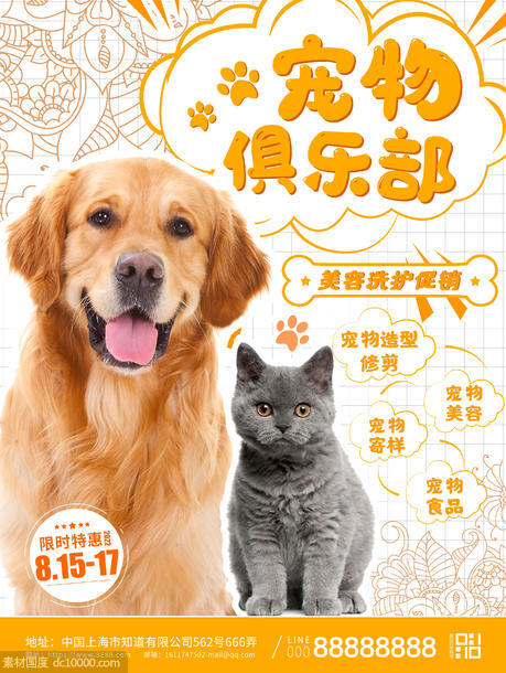 萌宠猫咪宠物店海报 - 源文件