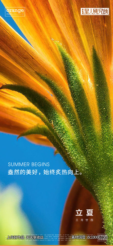 立夏节气质感海报 - 源文件