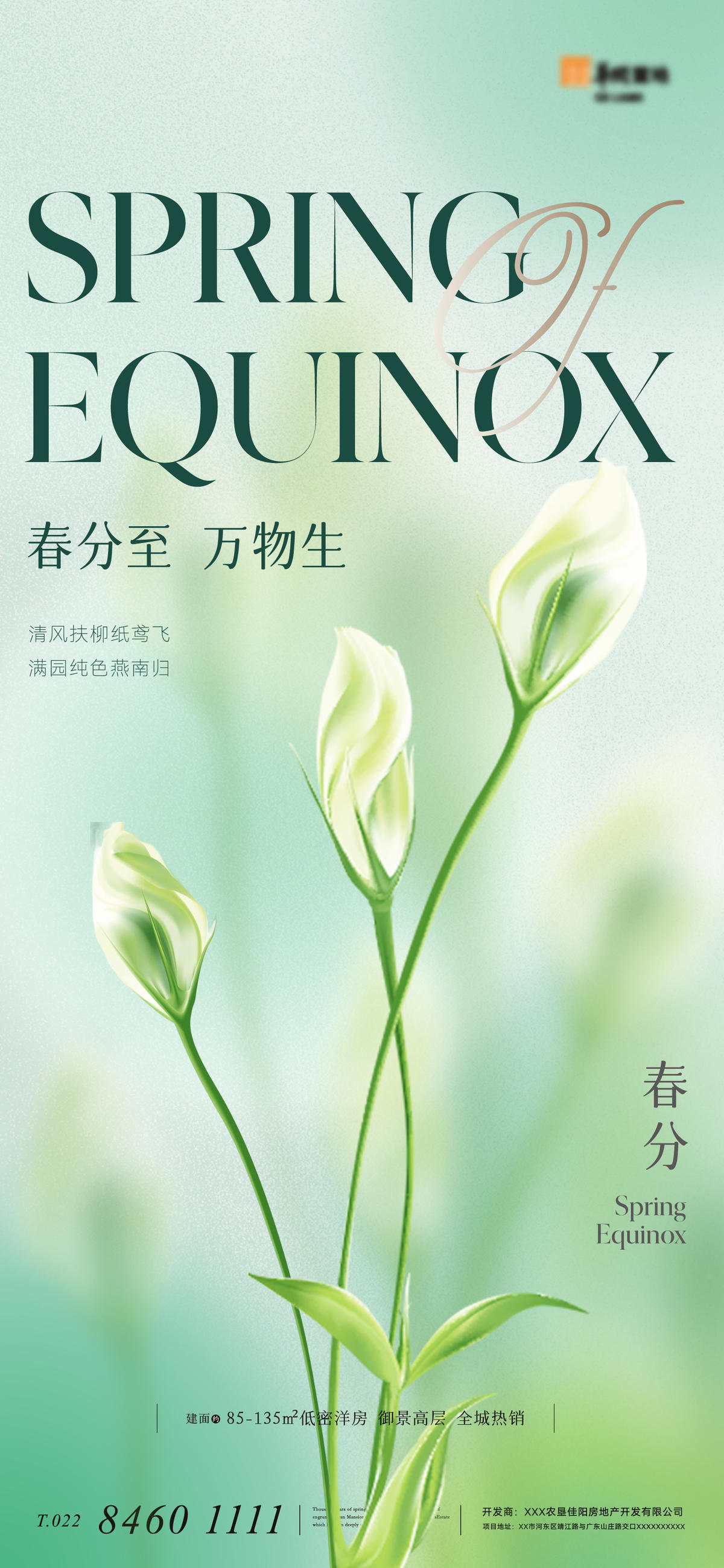 地产意境简约唯美二十四节气春分海报