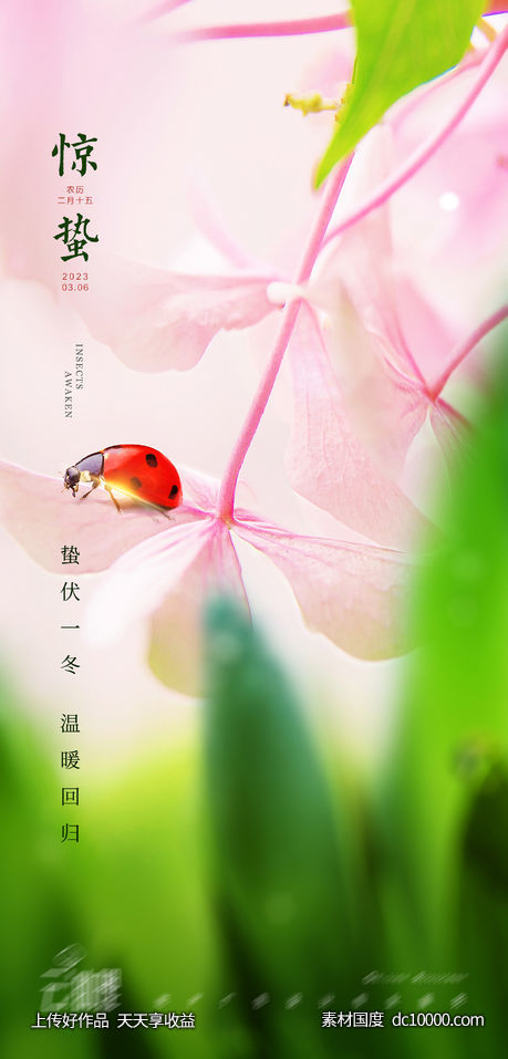 惊蛰节气海报-源文件-素材国度dc10000.com