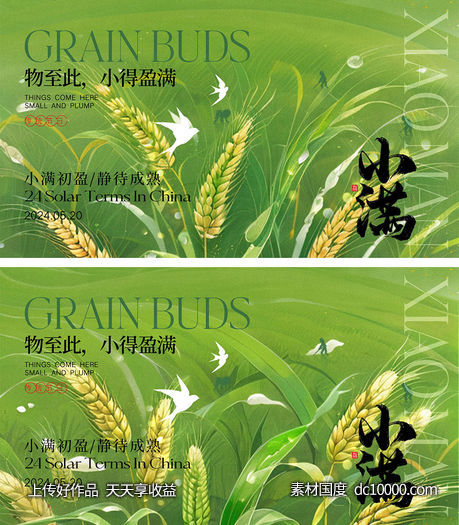 小满节气海报-源文件-素材国度dc10000.com
