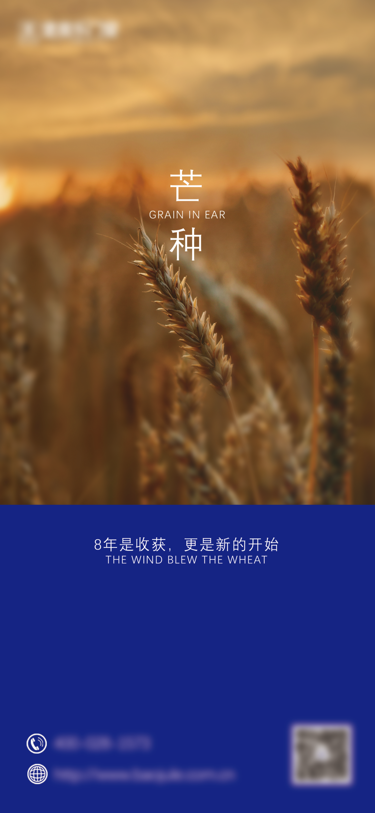 芒种