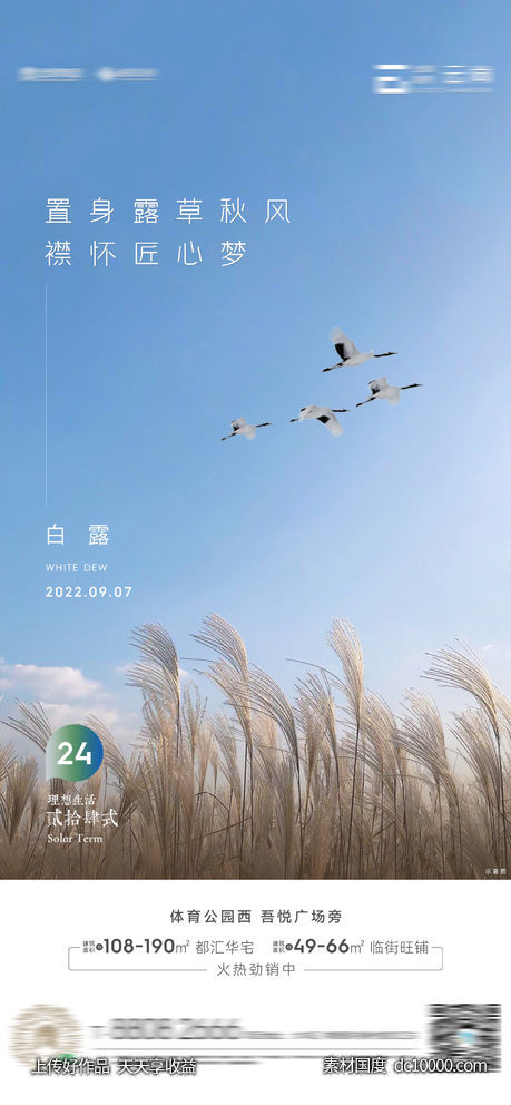 白露-源文件-素材国度dc10000.com