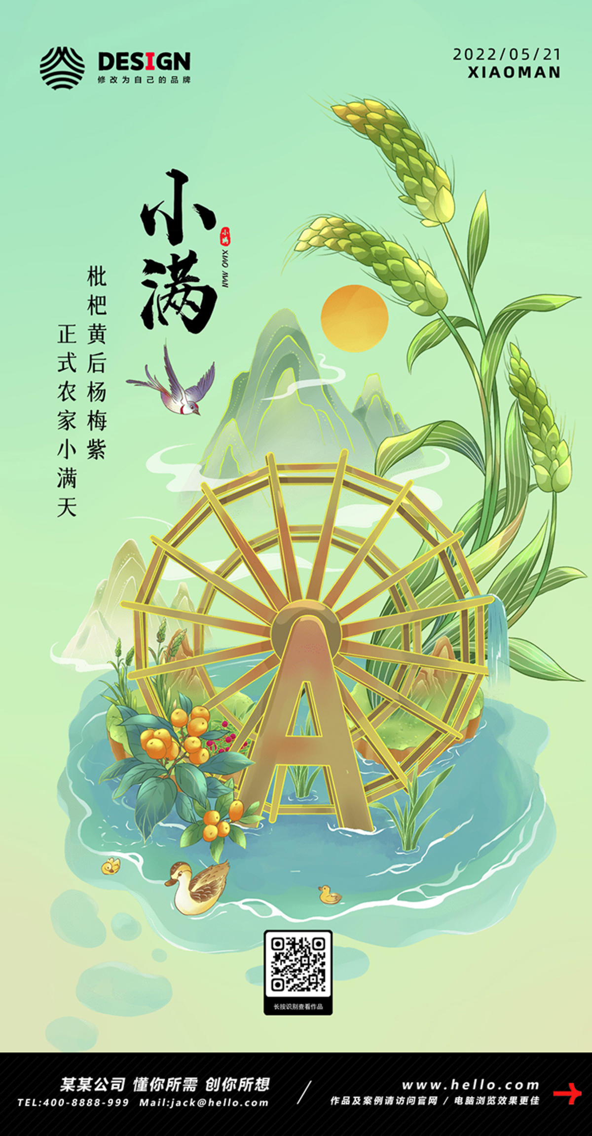 小满 节气 稻田