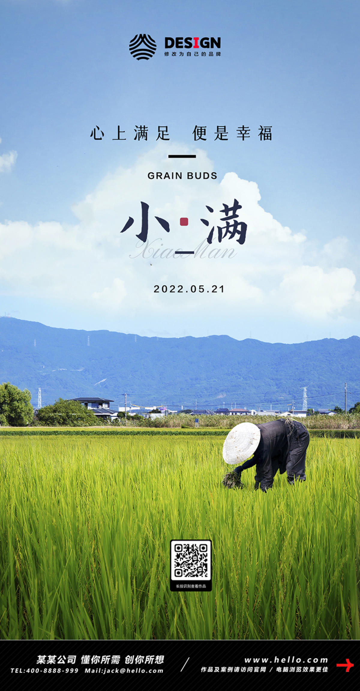 小满 节气 稻田