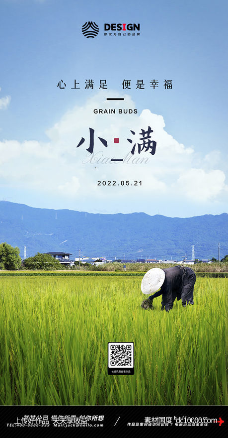 小满 节气 稻田-源文件-素材国度dc10000.com
