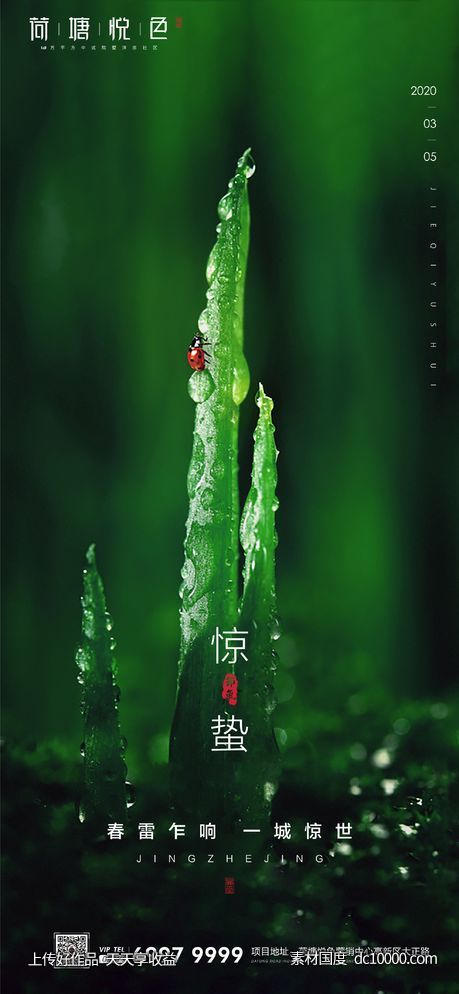 惊蛰 节气 立春-源文件-素材国度dc10000.com