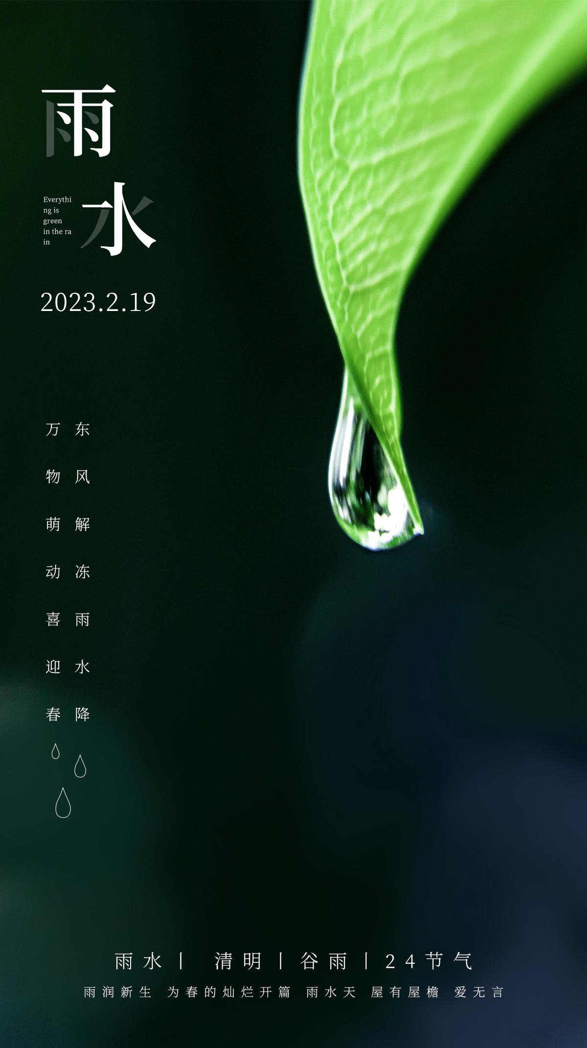 雨水白露竹叶蜻蜓节气海报