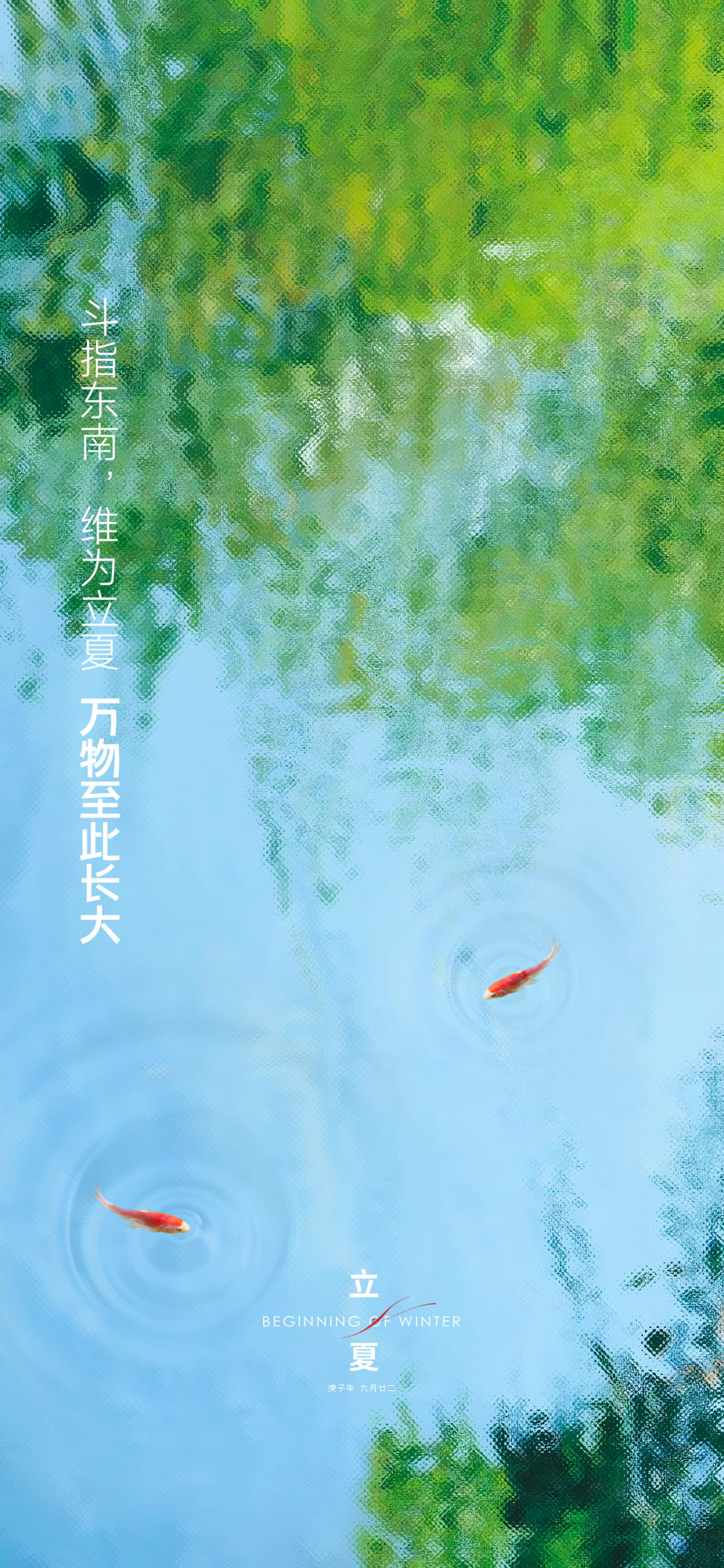 地产立夏节气海报