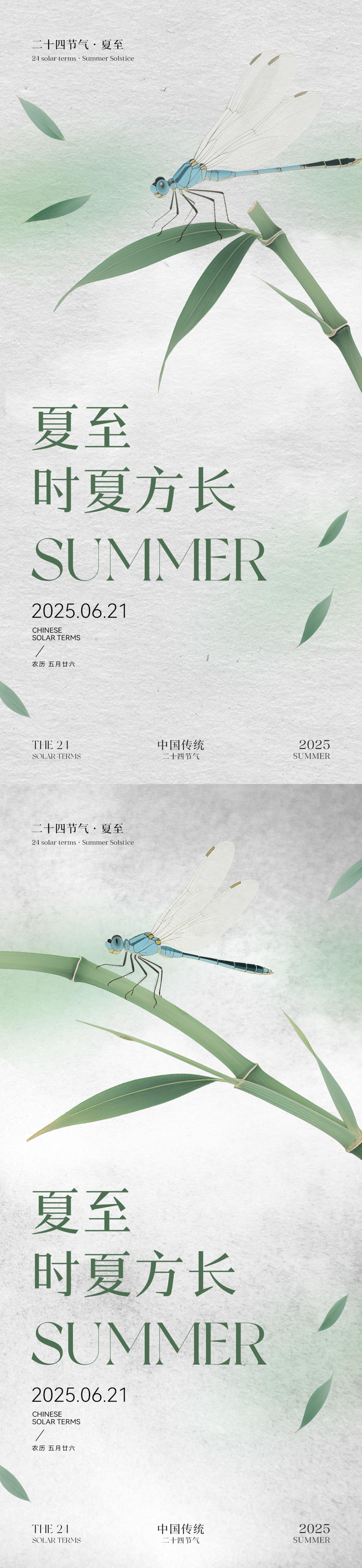 夏至节气海报