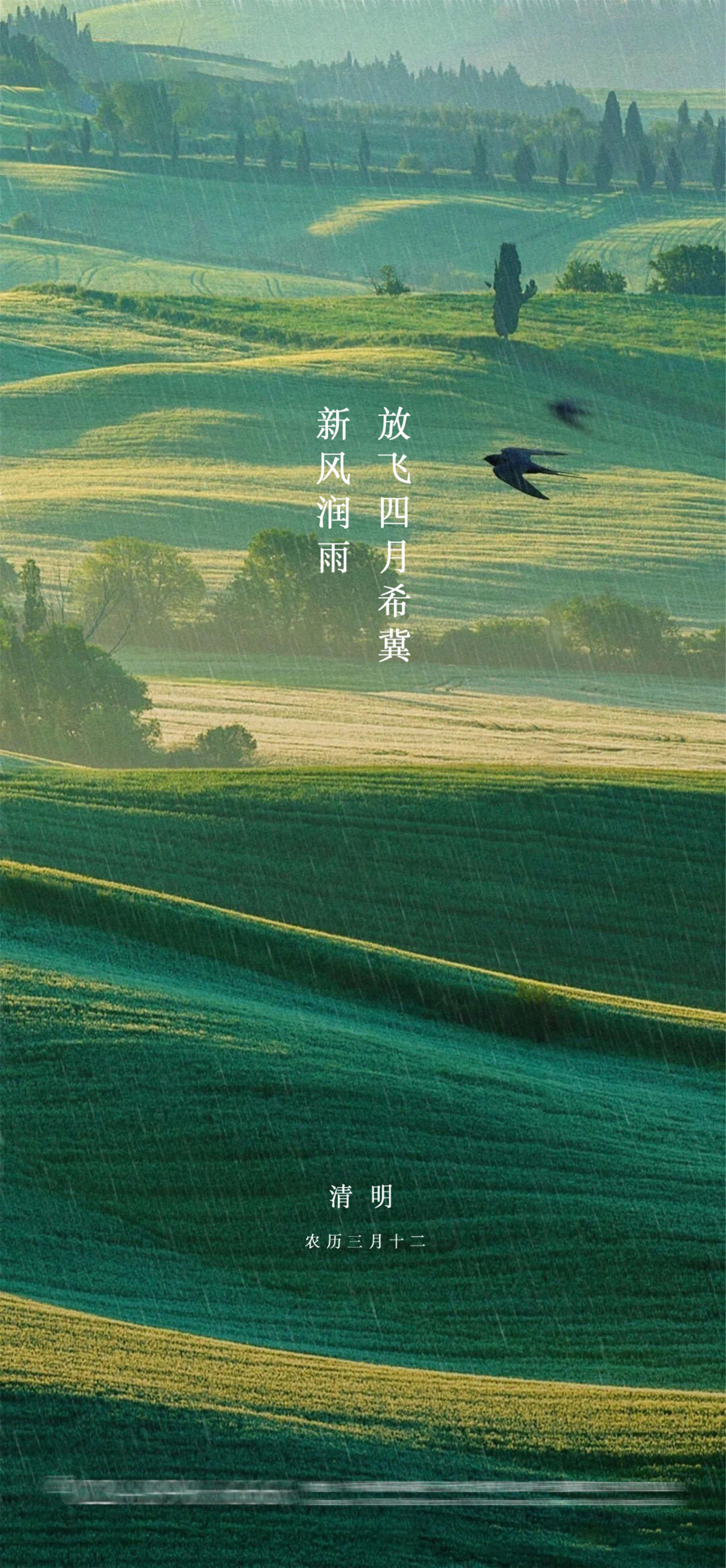 清明节节气海报
