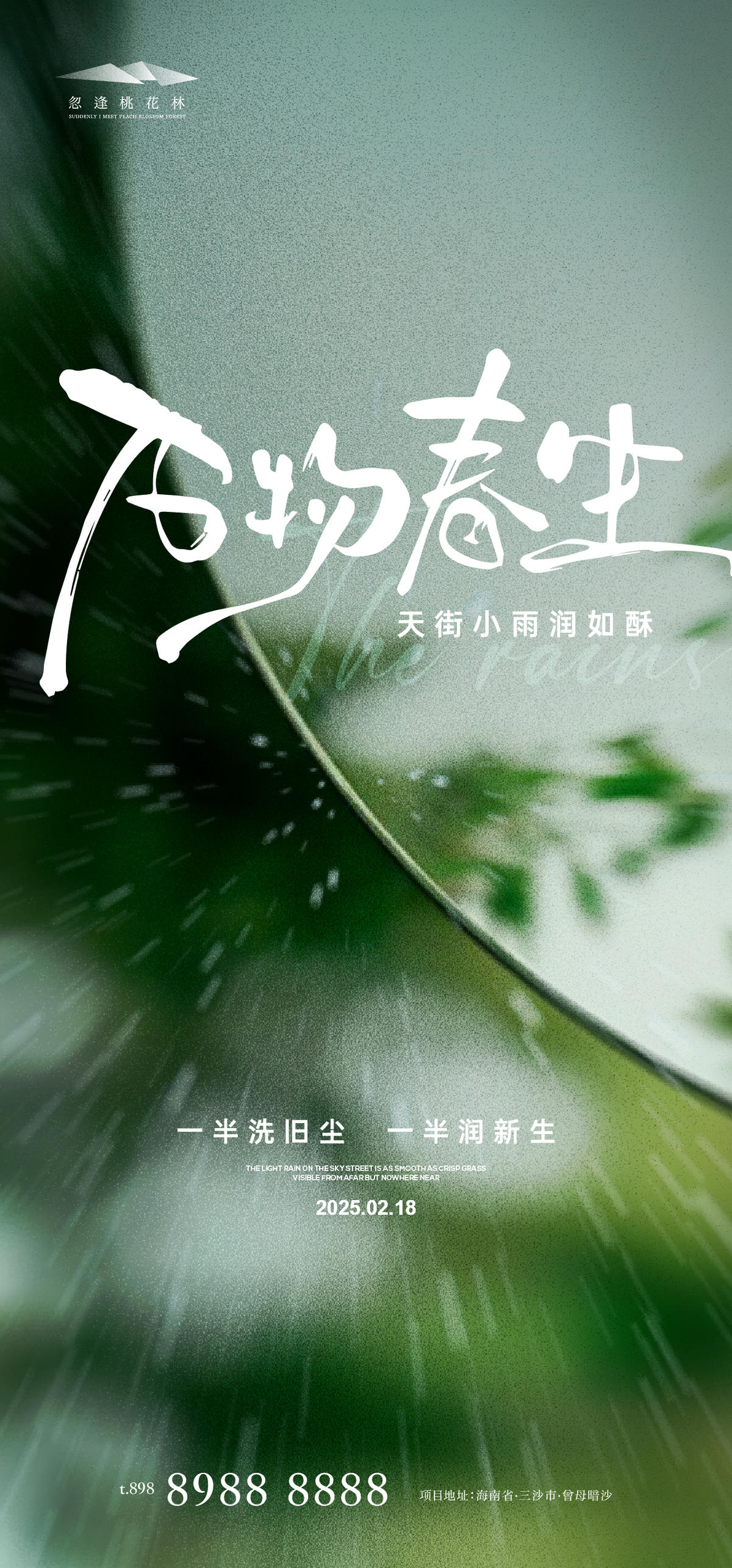 雨水