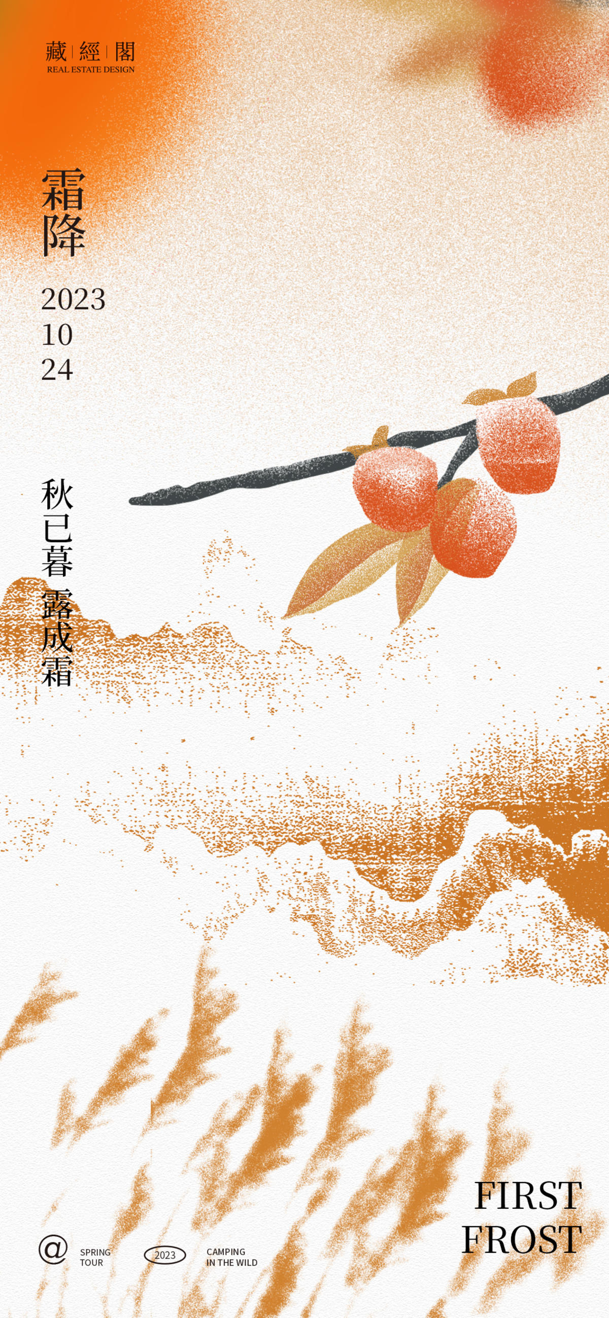 霜降柿子插画