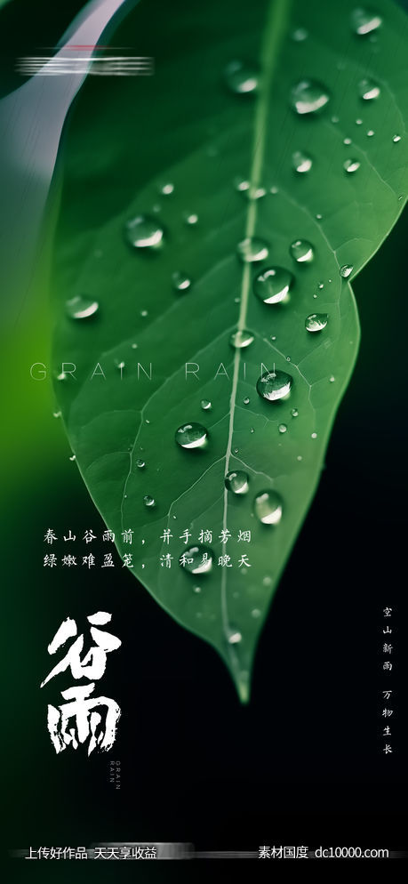 谷雨节气海报 - 源文件