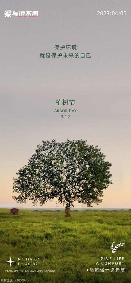植树节节日海报 - 源文件