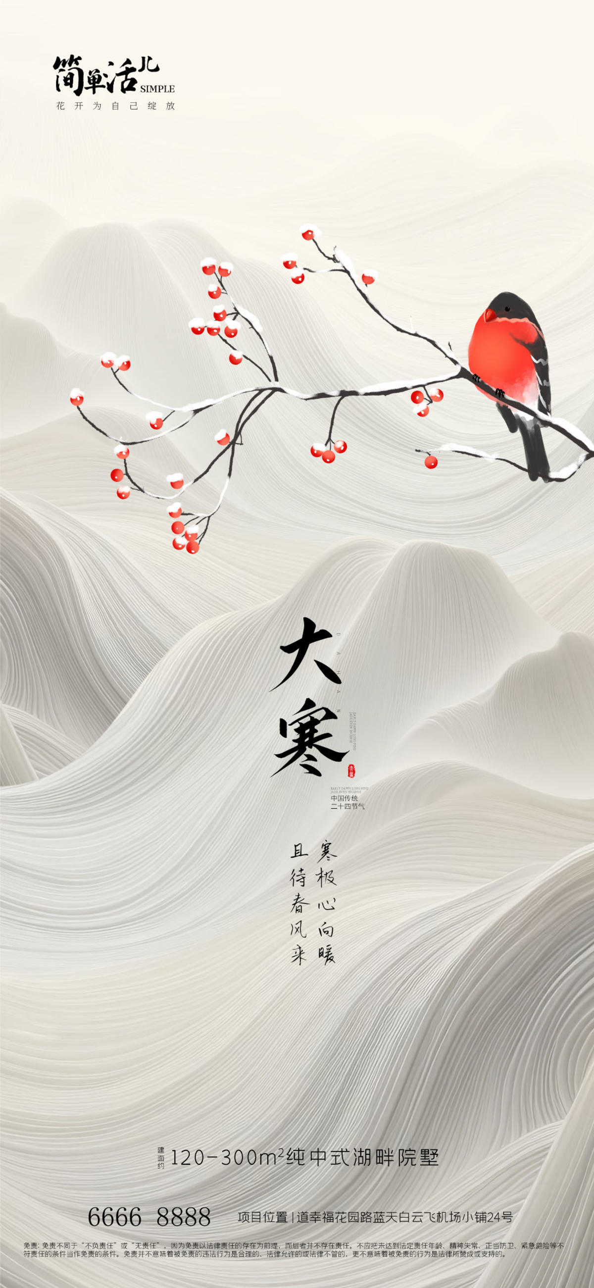 地产大寒海报