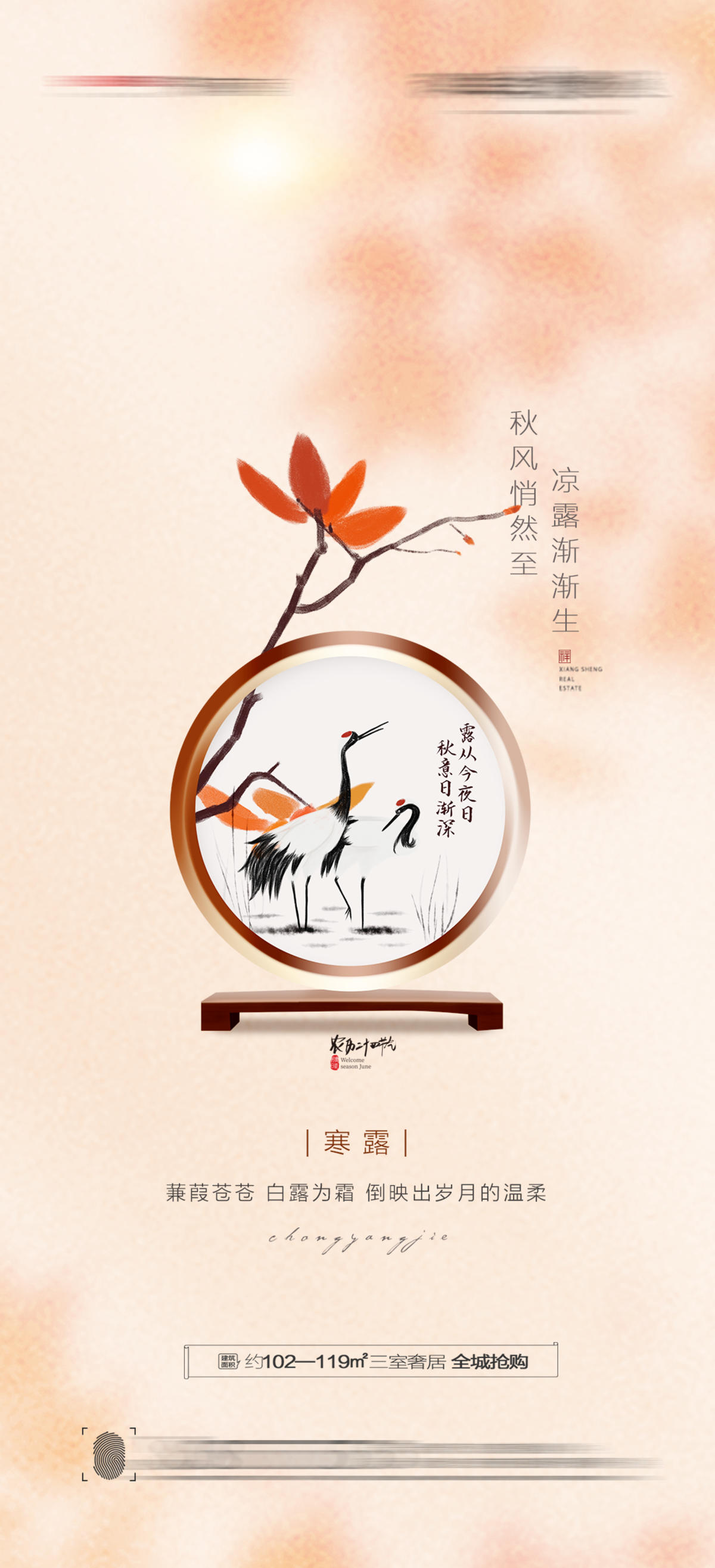 寒露节气海报