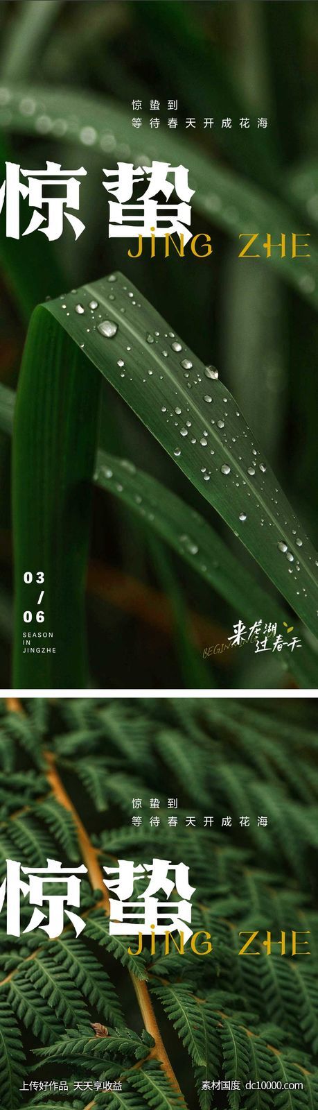 惊蛰节气海报-源文件-素材国度dc10000.com