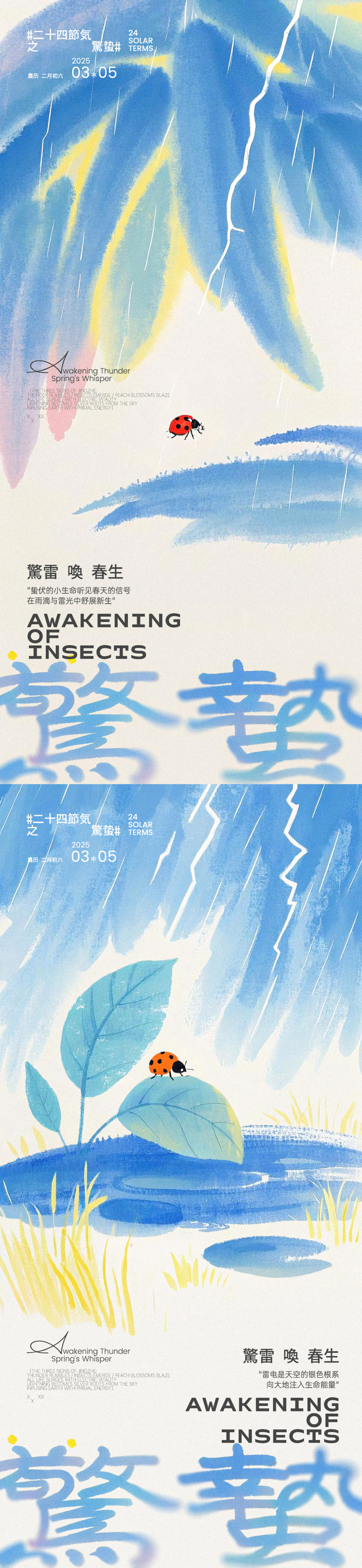 惊蛰瓢虫插画海报