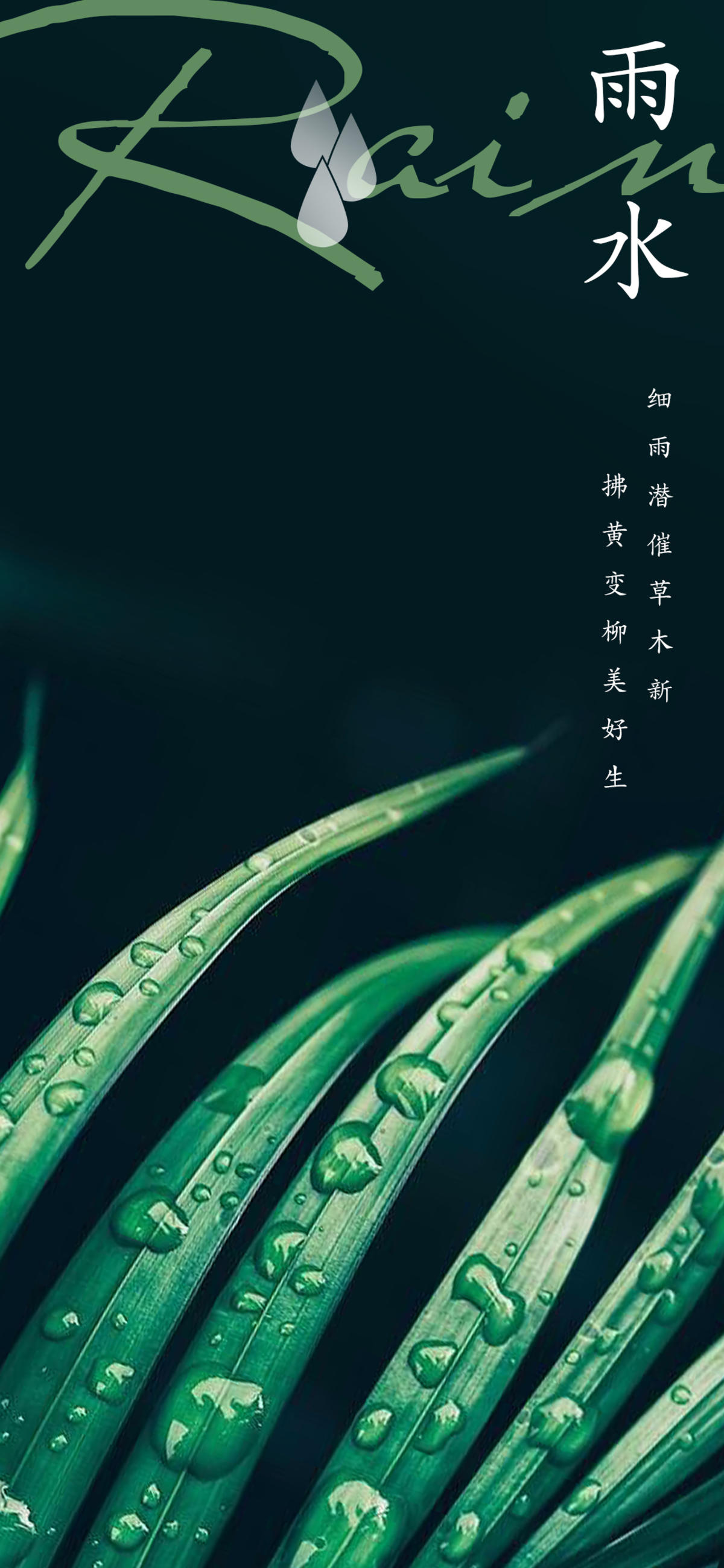 雨水