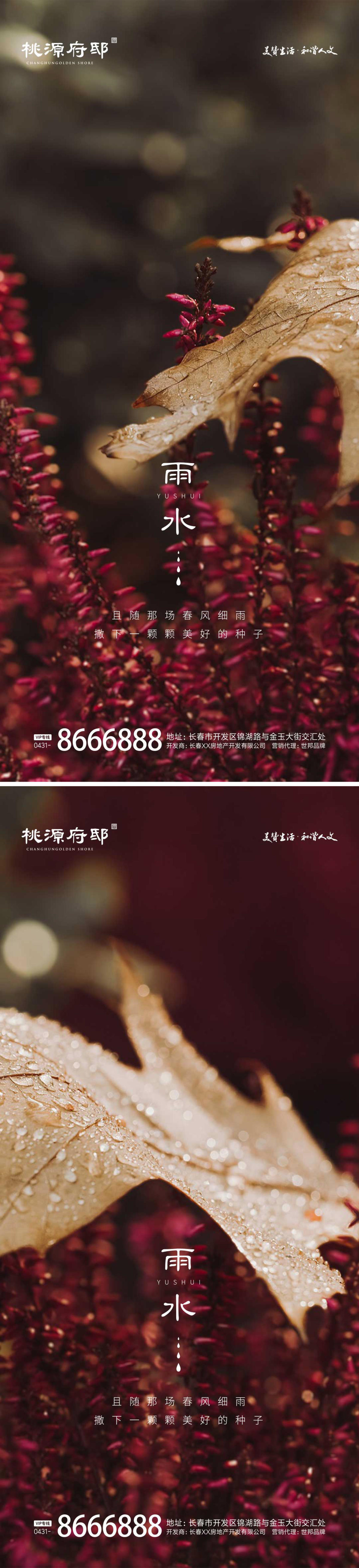 雨水节气系列海报