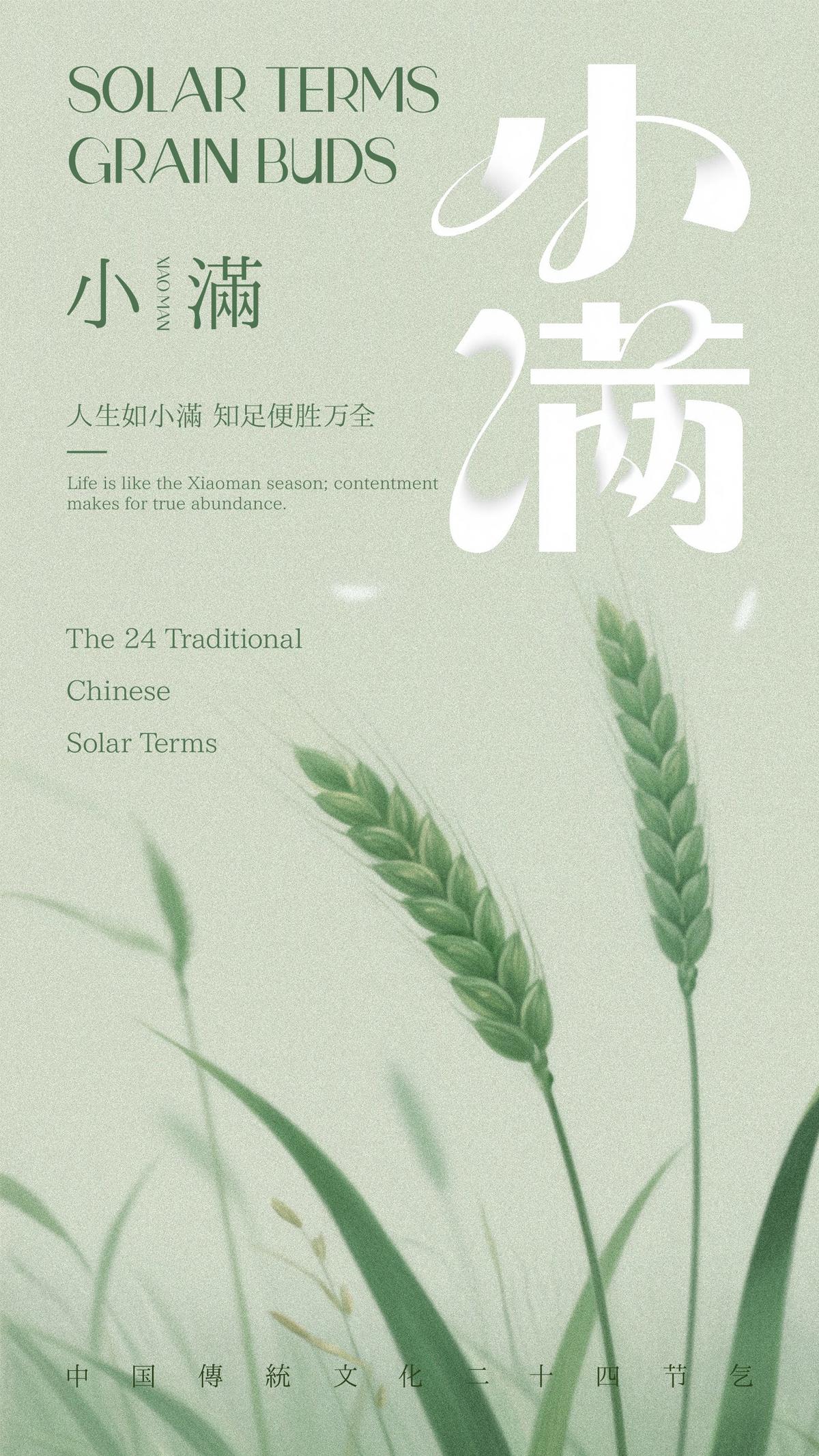 小满节气海报