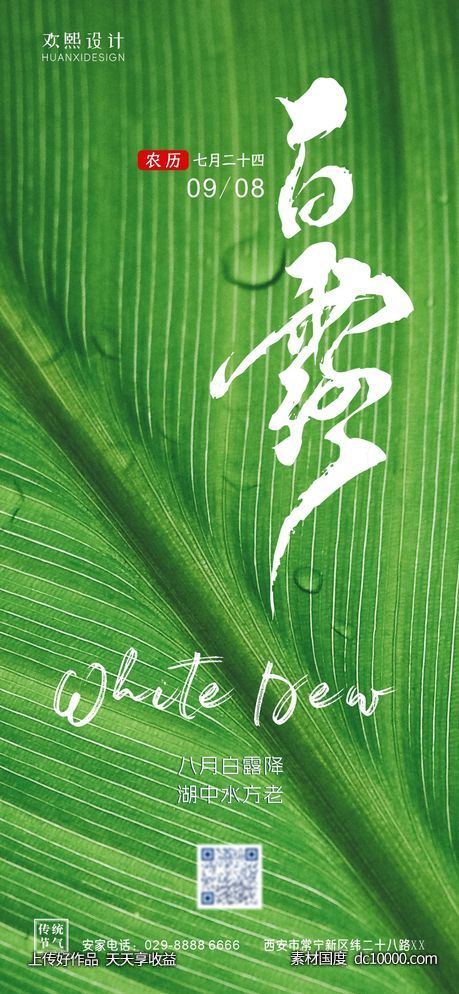 白露 二十四节气 节气海报-源文件-素材国度dc10000.com