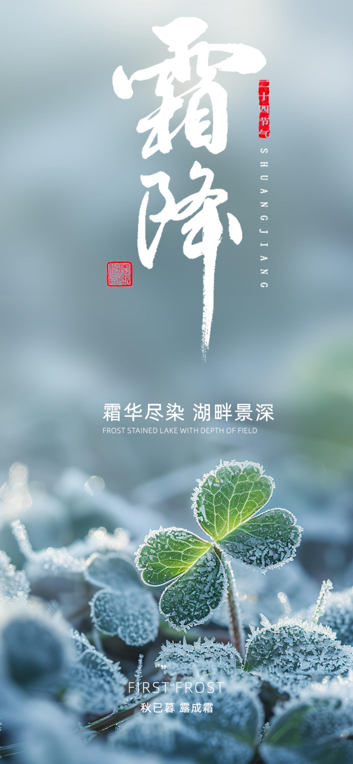 四叶草霜降节气海报