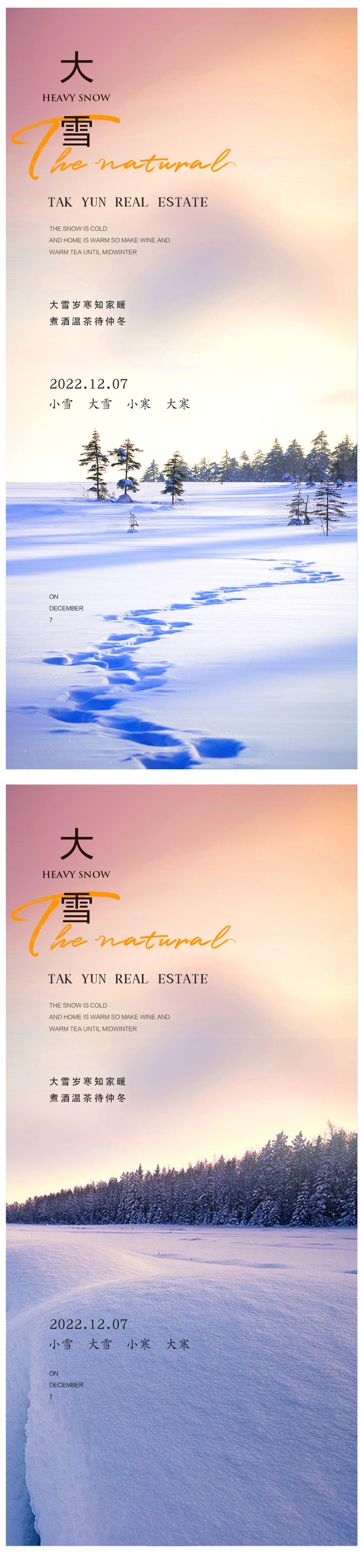 小雪冬至大雪小寒大寒海报