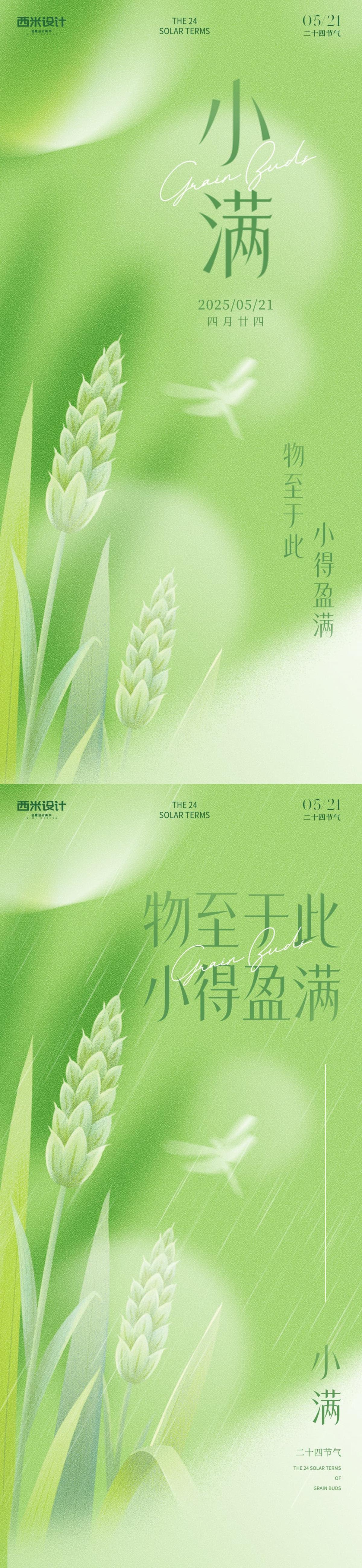 小满节气海报