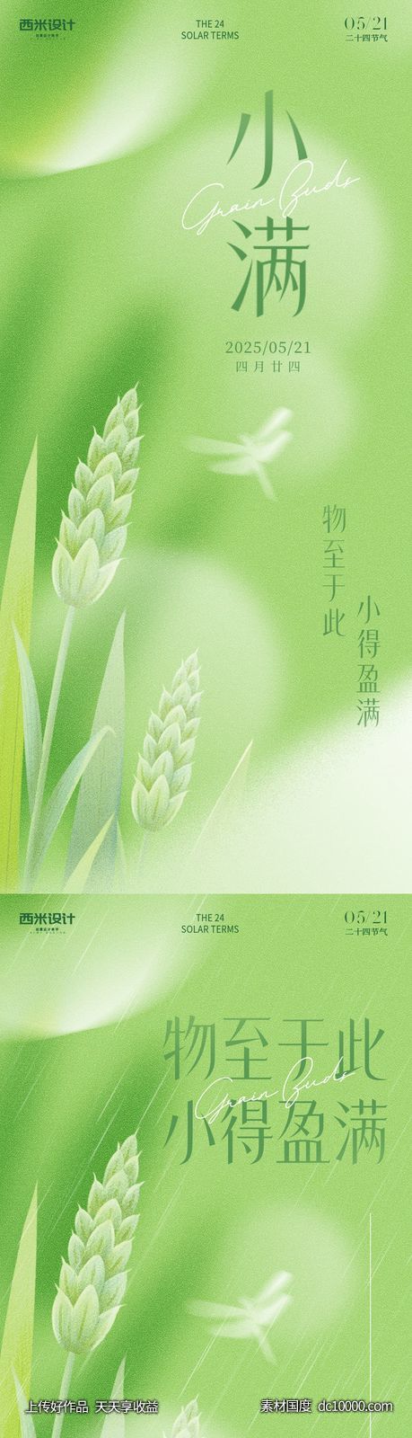 小满节气海报-源文件-素材国度dc10000.com