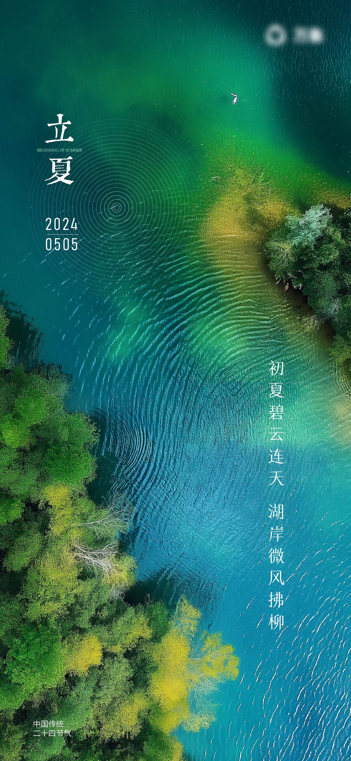 立夏节气海报