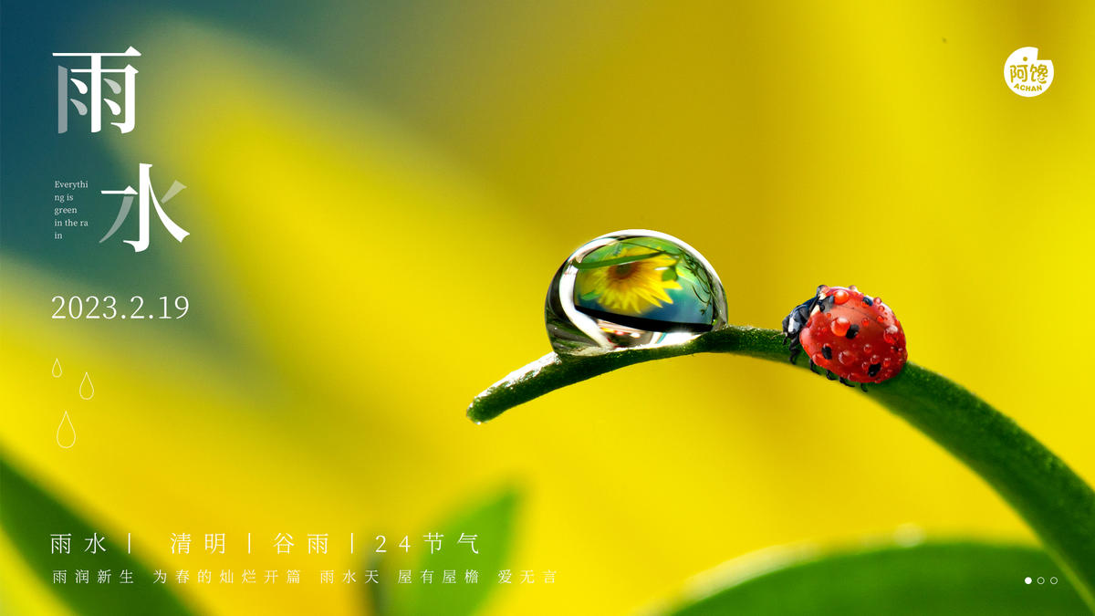 雨水白露竹叶蜻蜓节气海报