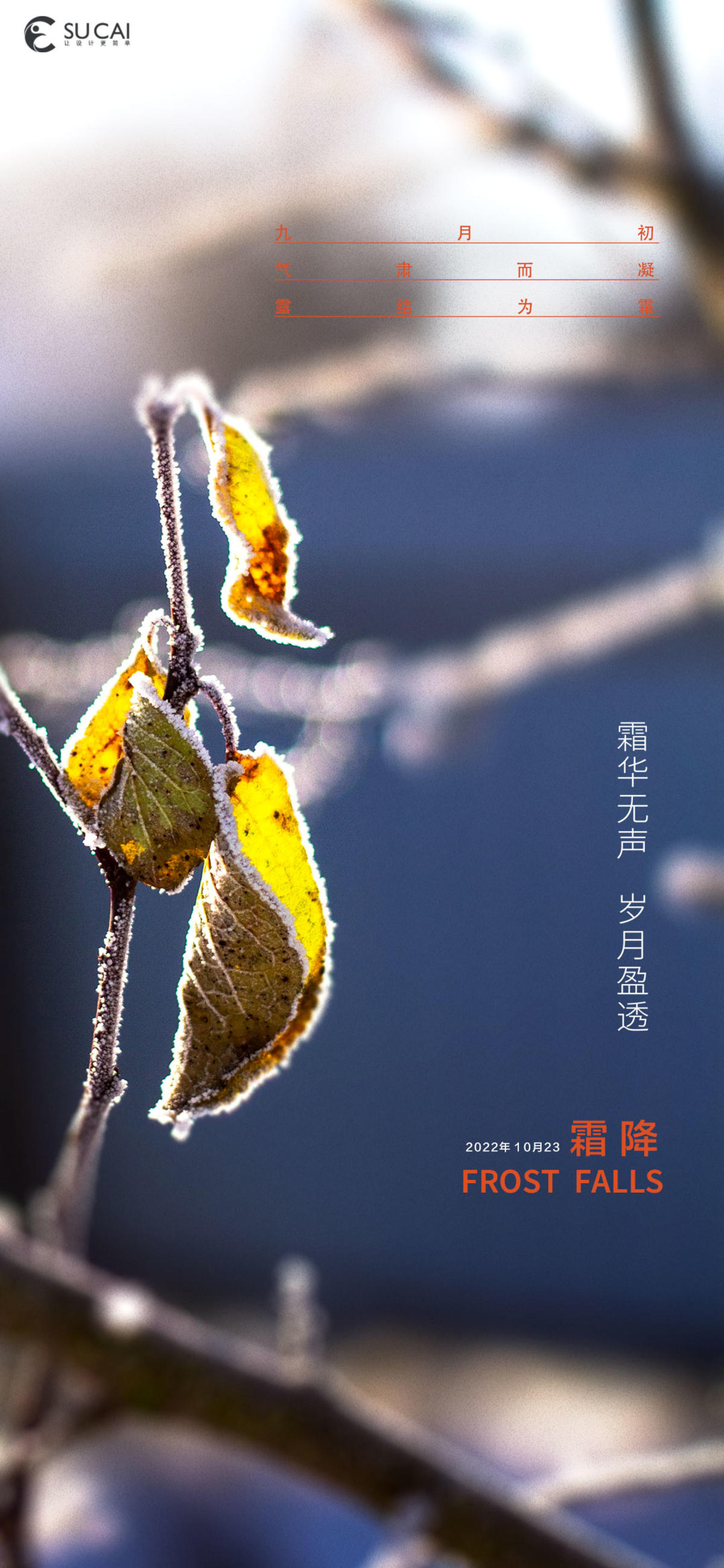 霜降
