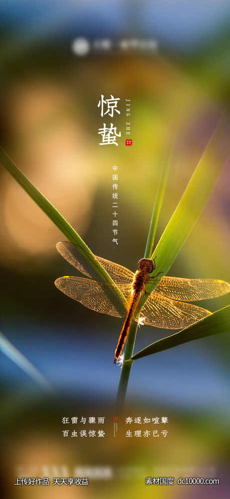惊蛰 节气 立春-源文件-素材国度dc10000.com