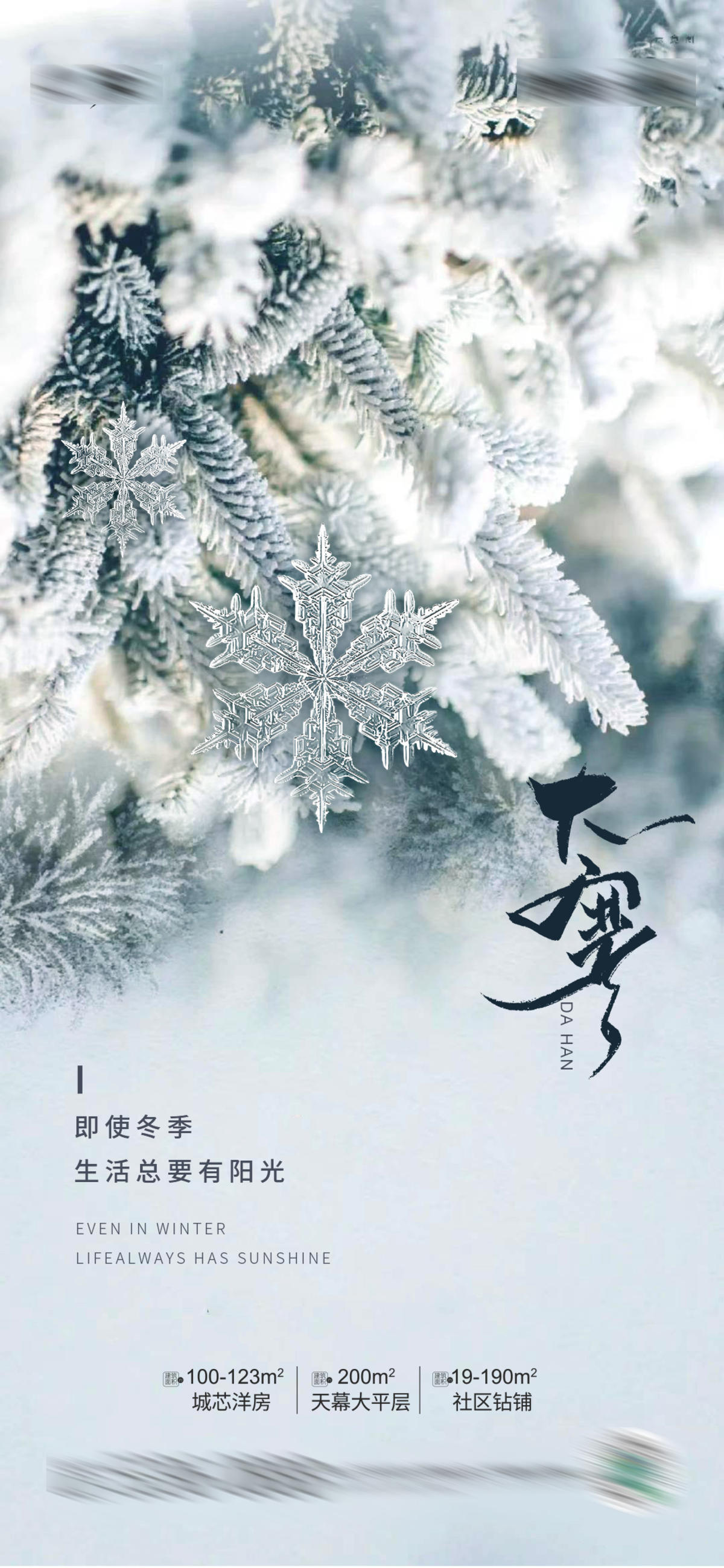 大寒大雪