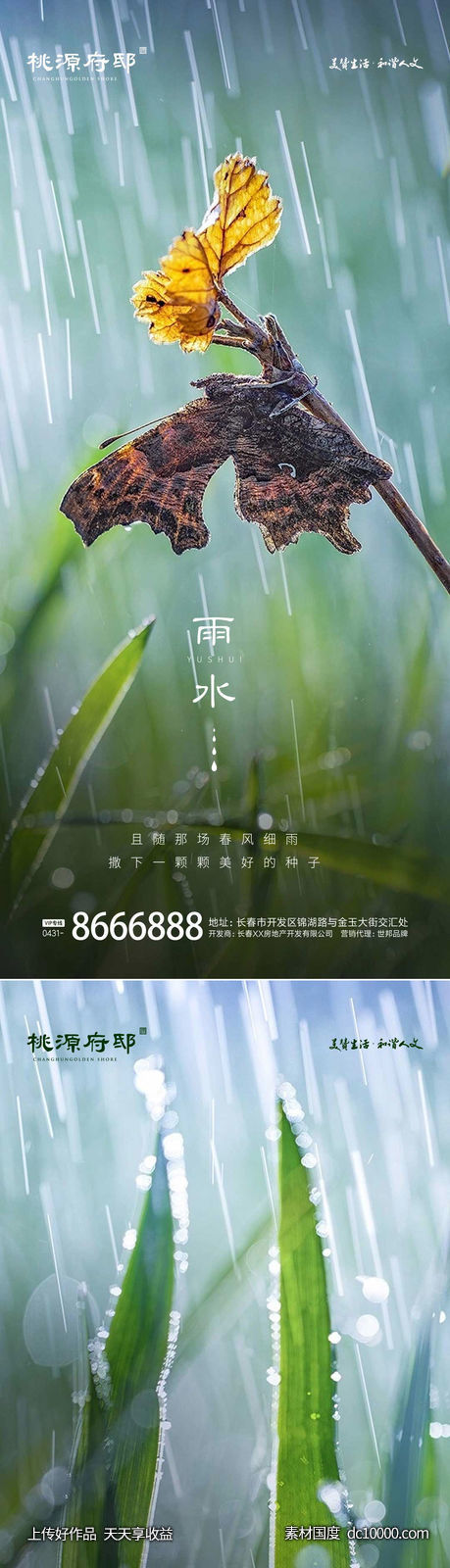 雨水白露节气海报-源文件-素材国度dc10000.com