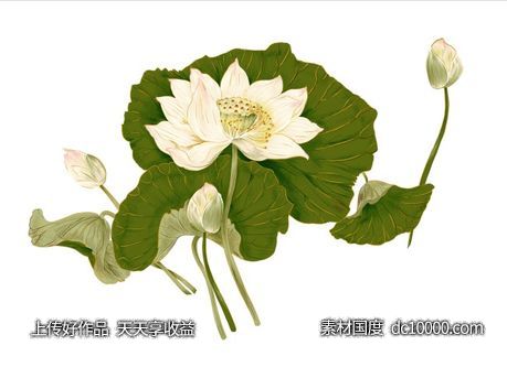 荷花分层素材-源文件-素材国度dc10000.com