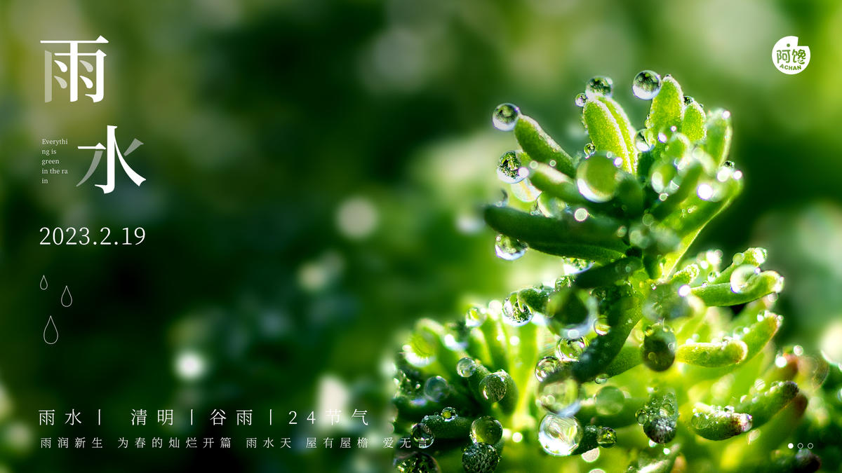 雨水白露竹叶蜻蜓节气海报