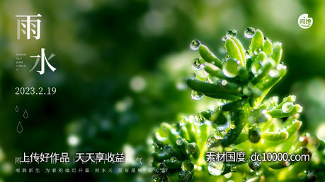 雨水白露竹叶蜻蜓节气海报-源文件-素材国度dc10000.com