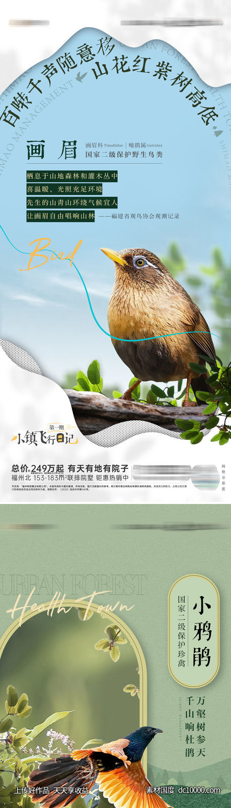 鸟类观测科普海报-源文件-素材国度dc10000.com