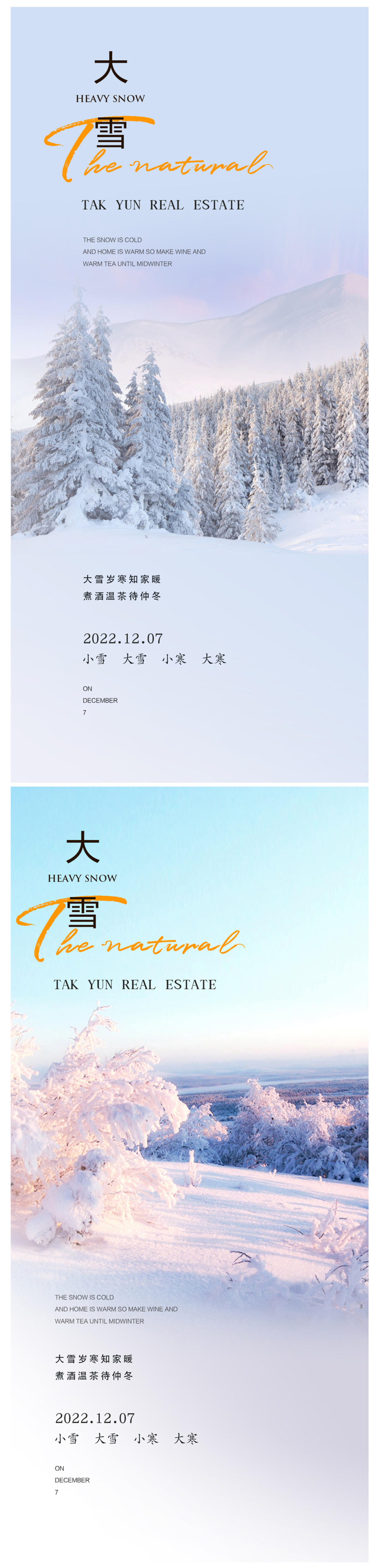 大雪小寒大寒海报