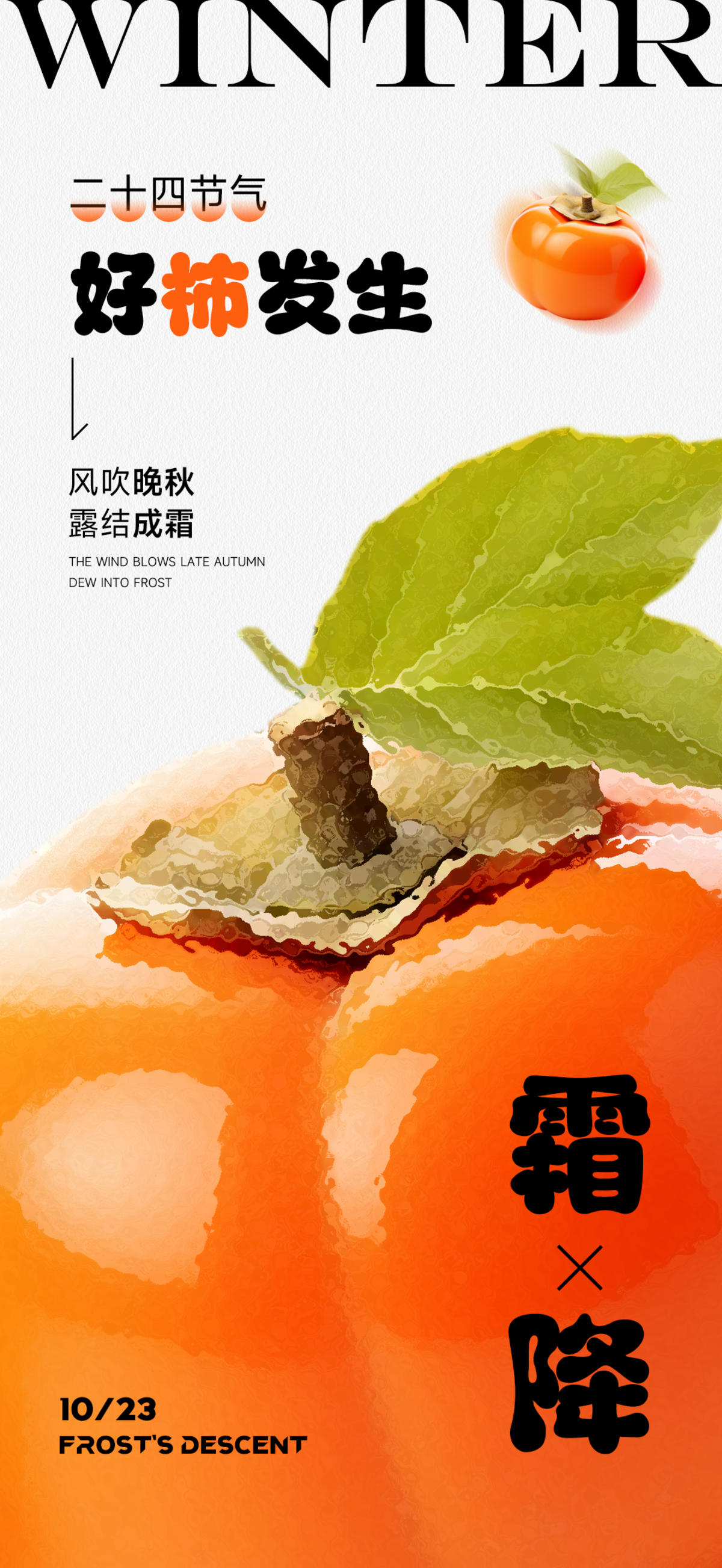 霜降二十四节气海报