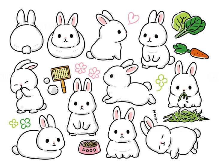 动物兔子卡通形象设计