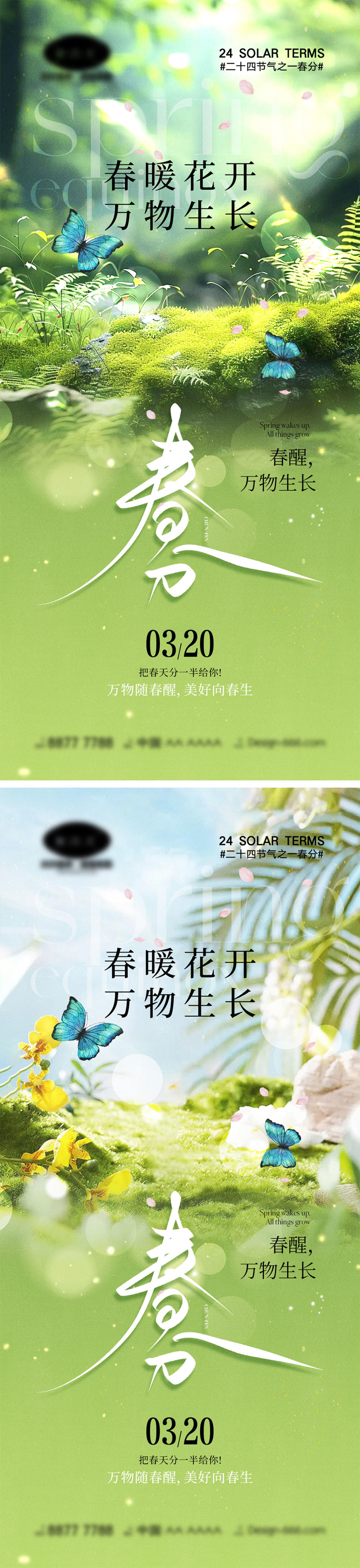 春分节气海报