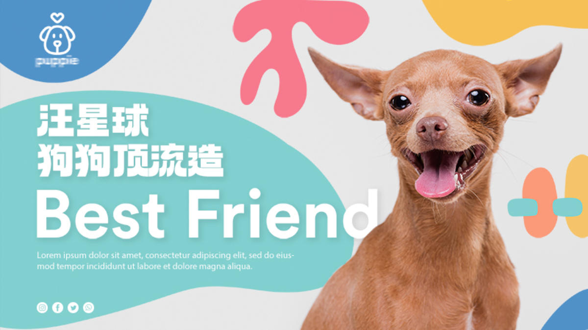 宠物海报狗粮猫粮主画面主KV展板背景板可爱宠物医院扁平