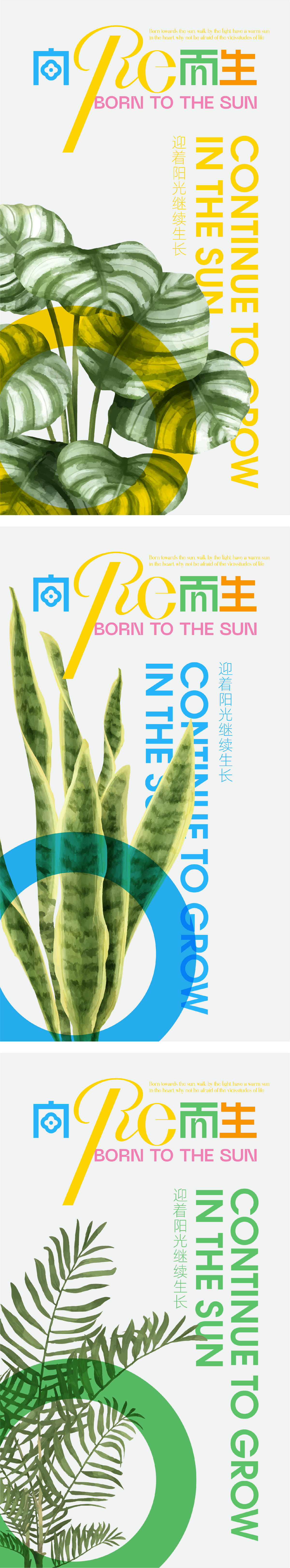 向阳而生植物创意海报