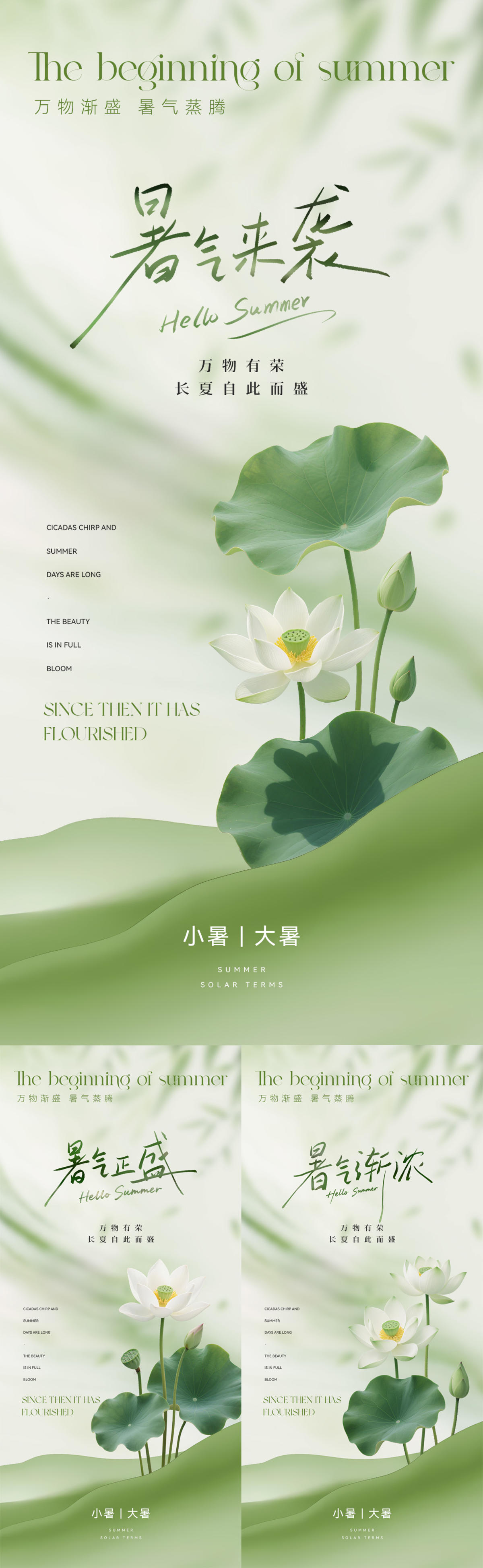 小暑大暑节气系列海报