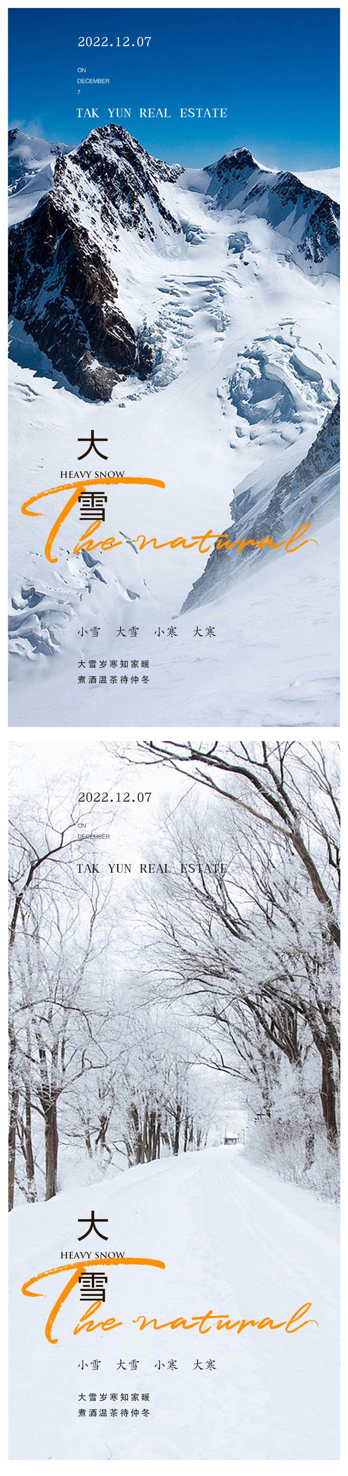 大雪节气海报